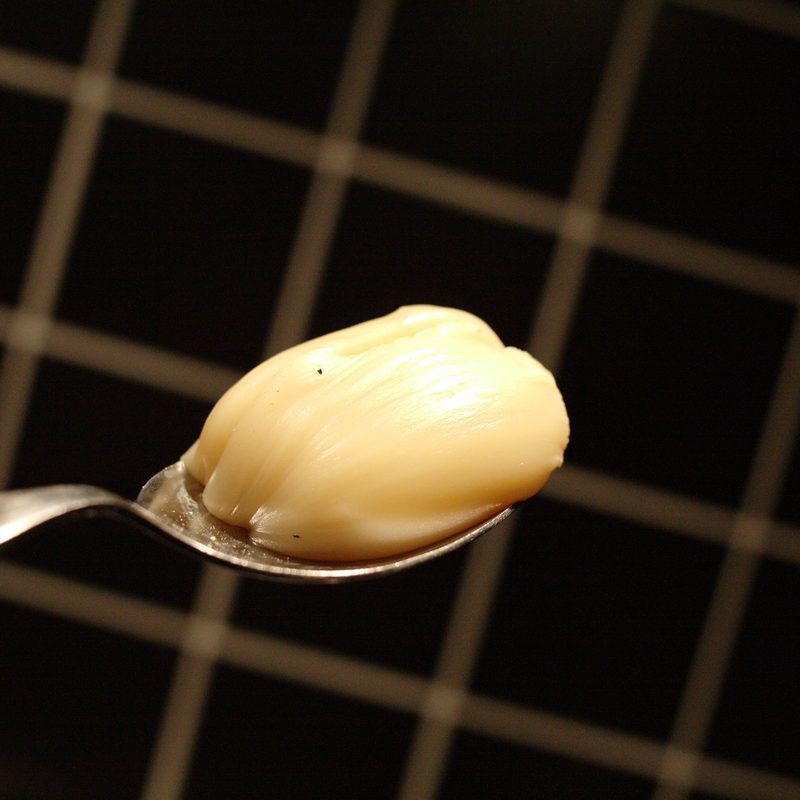 Spoonful of bacon fat
