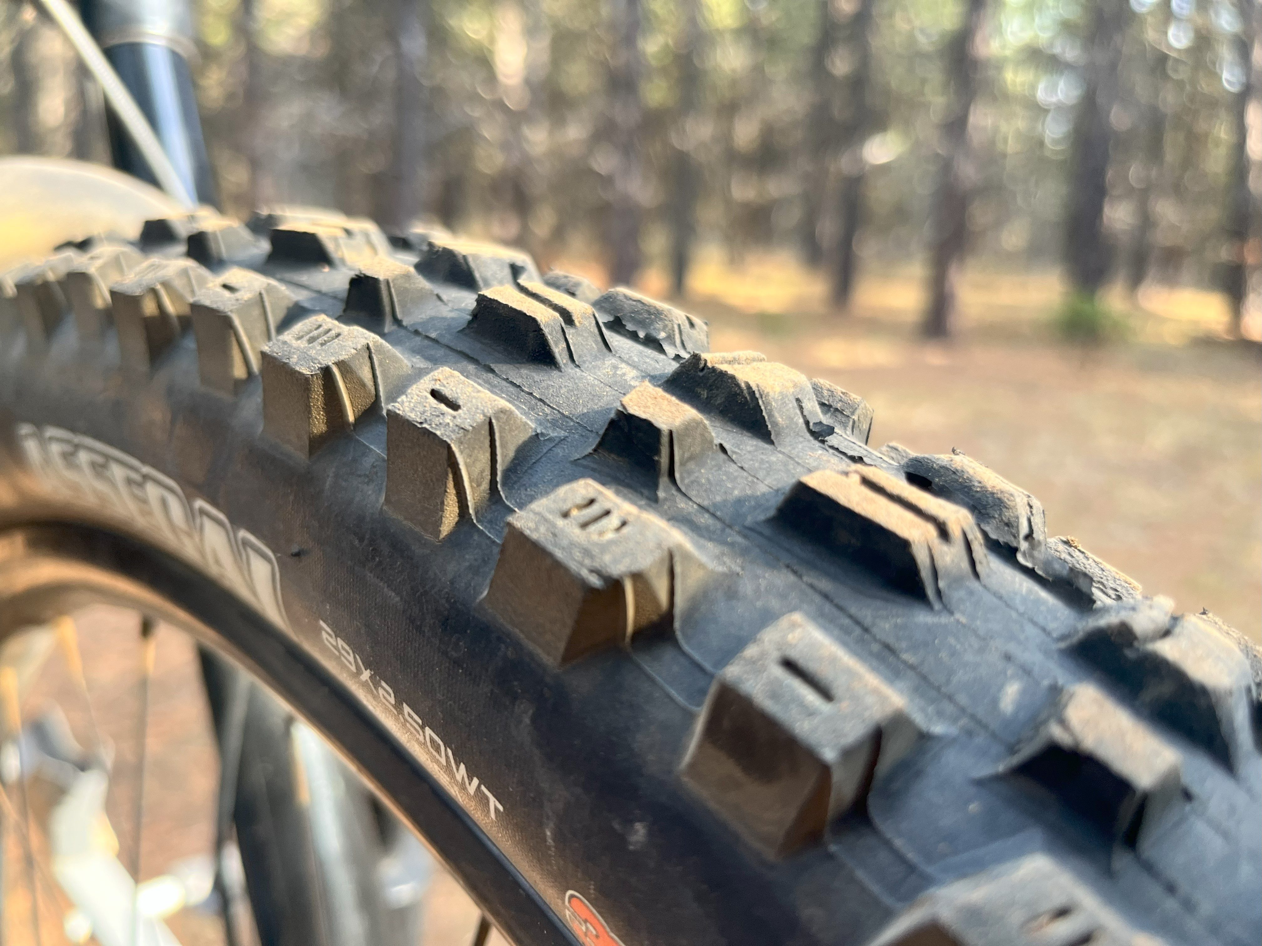 A close up of an aggressive mountain bike tire: The Maxxis Assegai