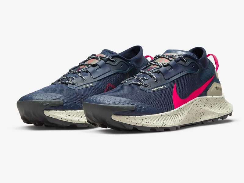 The Nike Pegasus Trail 3 Gore-Tex against a white background.