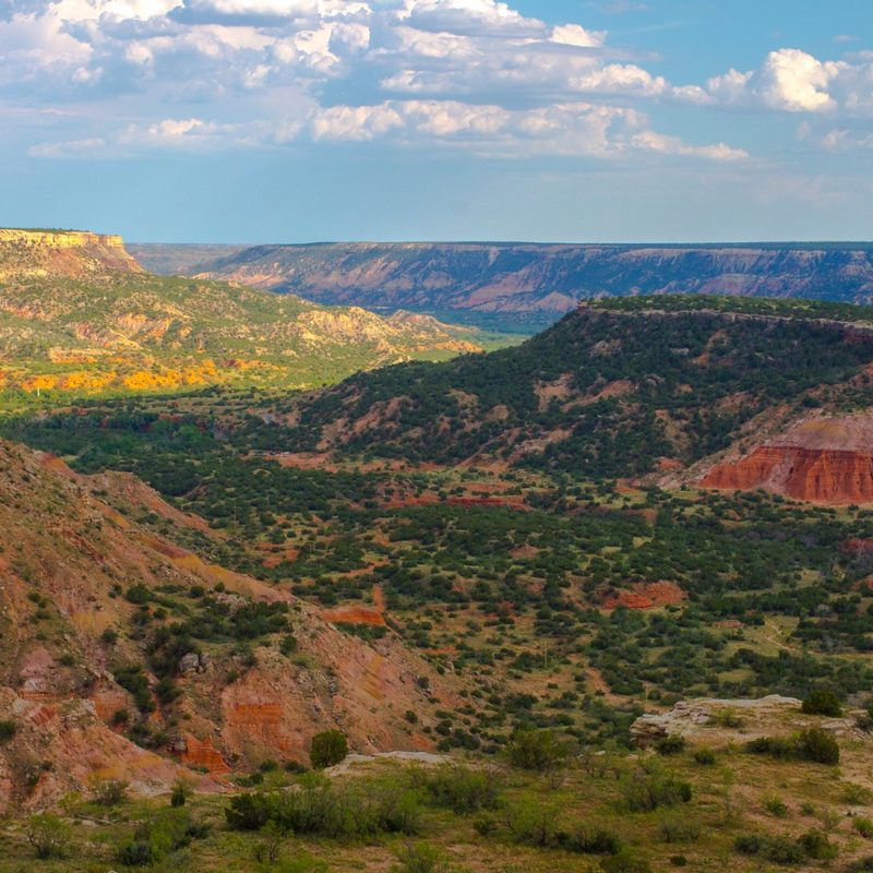 A view of a forrested section of the Canyon in the Palo Duro Canyon