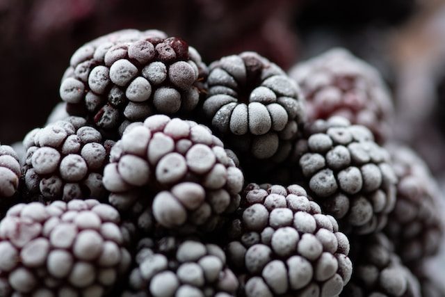 frozen blackberries