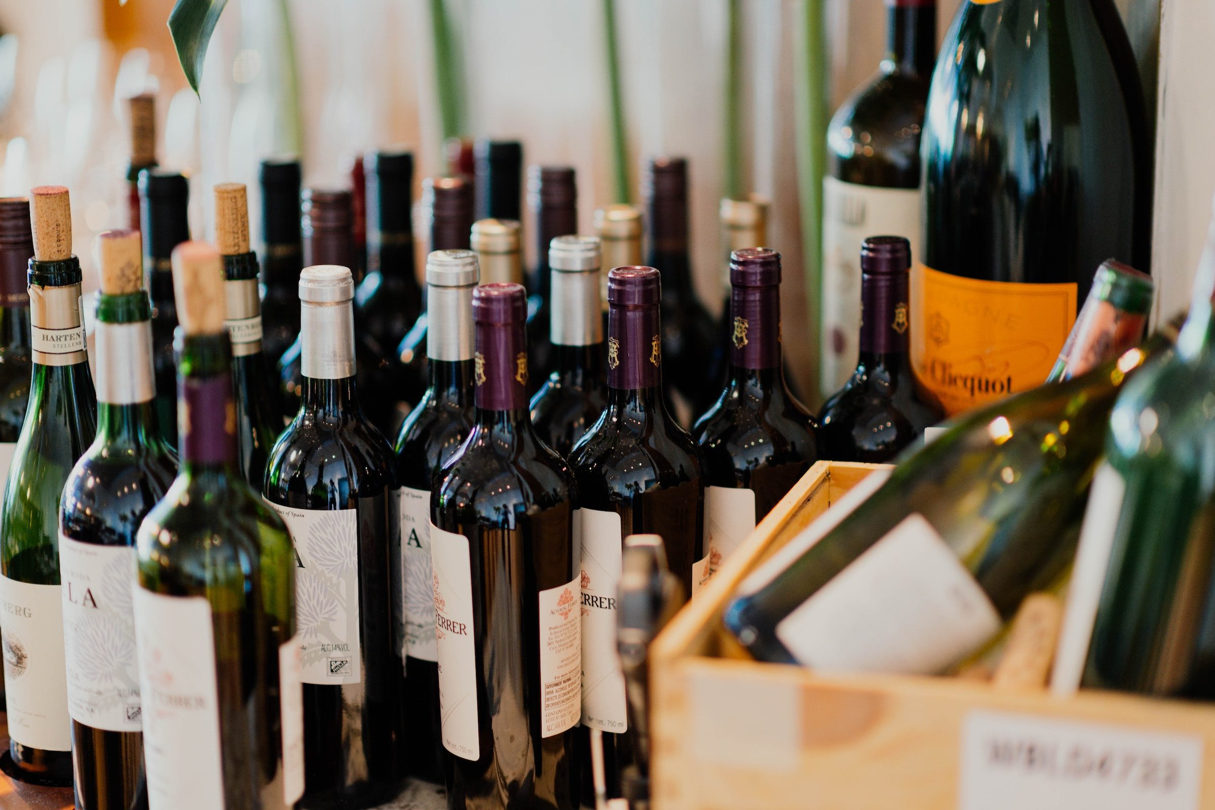 Wine bottles on a counter