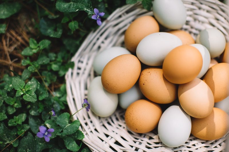 Eggs in a bakset