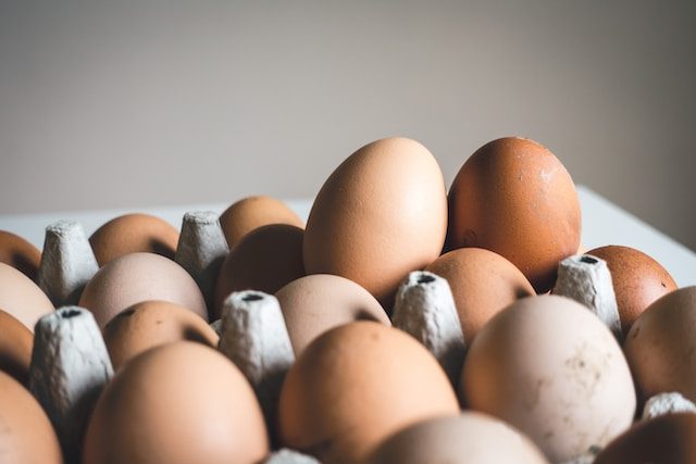 farm fresh brown eggs