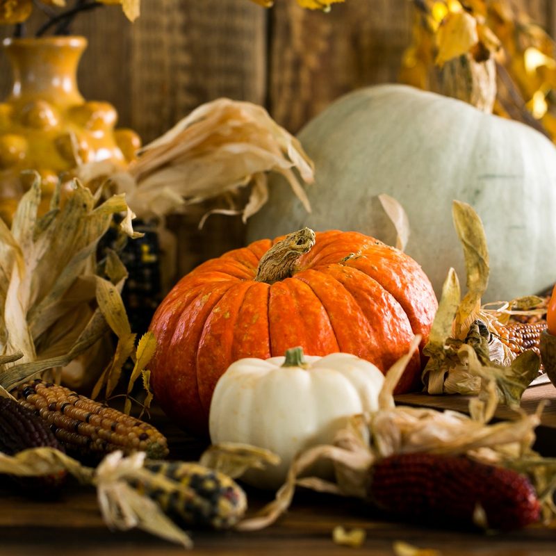 Fall table set with pumpkins