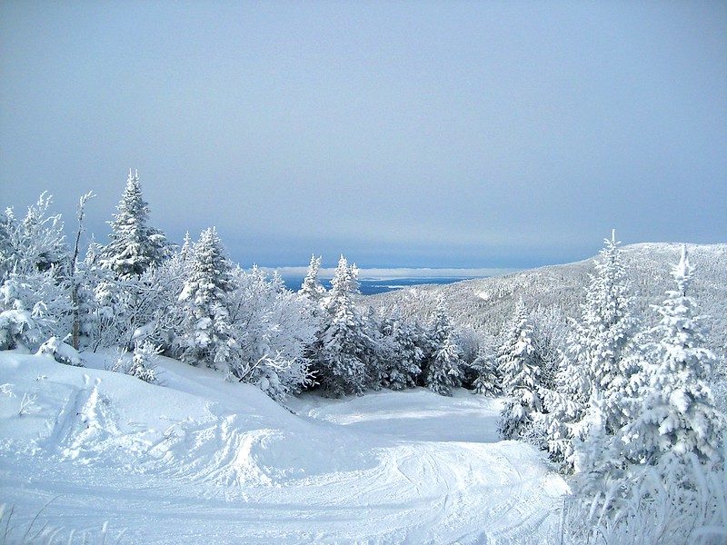 Ski trail at Bolton Valley