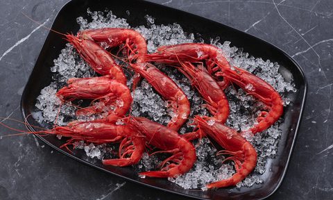 Citarella Gambero Rosso Shrimp on ice.