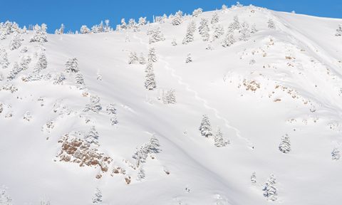 Fresh snow on Powder Mountain, Utah