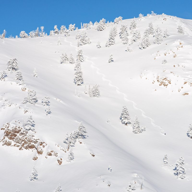Fresh snow on Powder Mountain, Utah