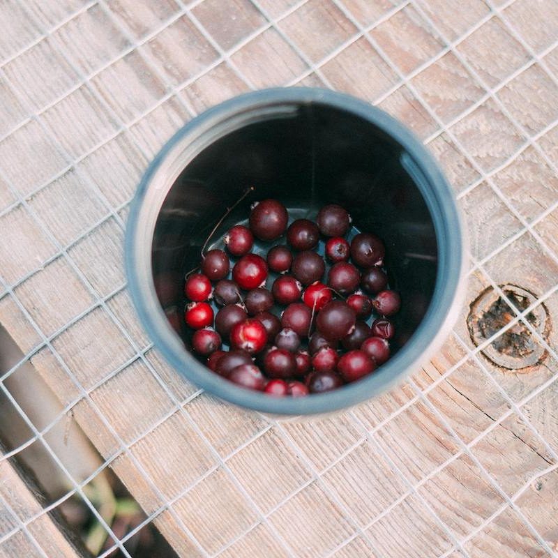 A bowl of cranberries on a tiled floor