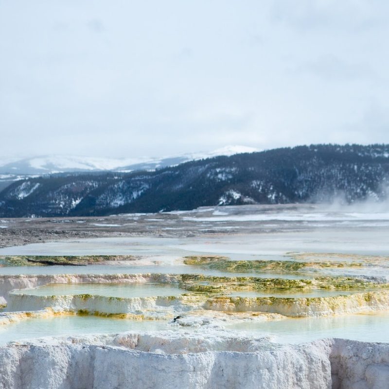 Yellowstone National Park in the Winter.