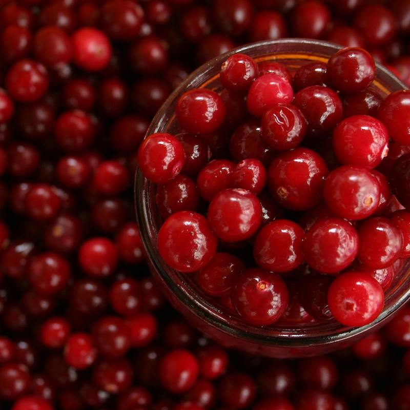 A close-up of several cranberries