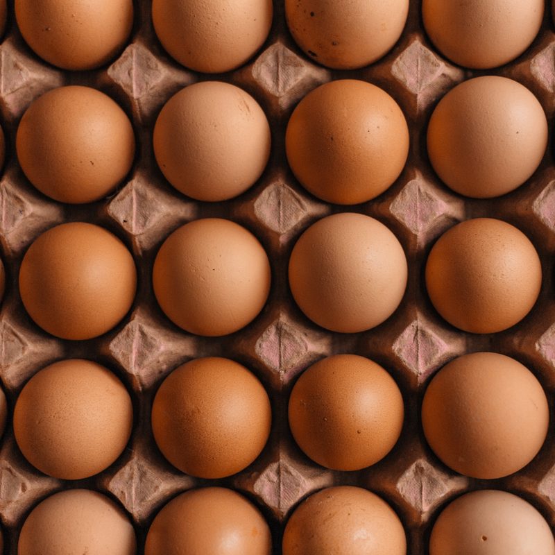 Farm fresh eggs