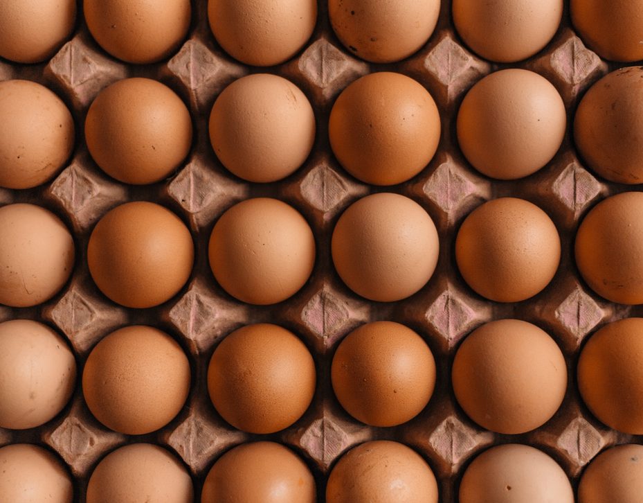 close up carton of brown eggs