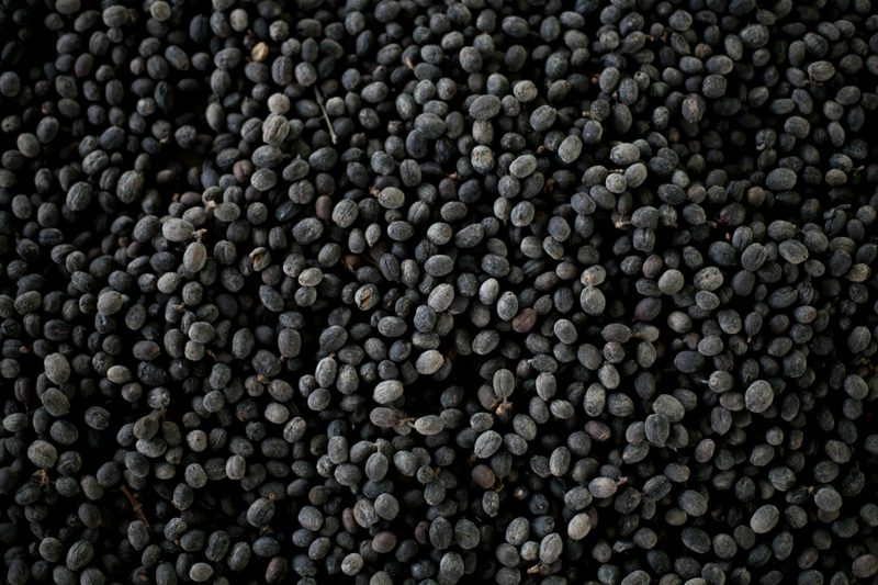 Black beans