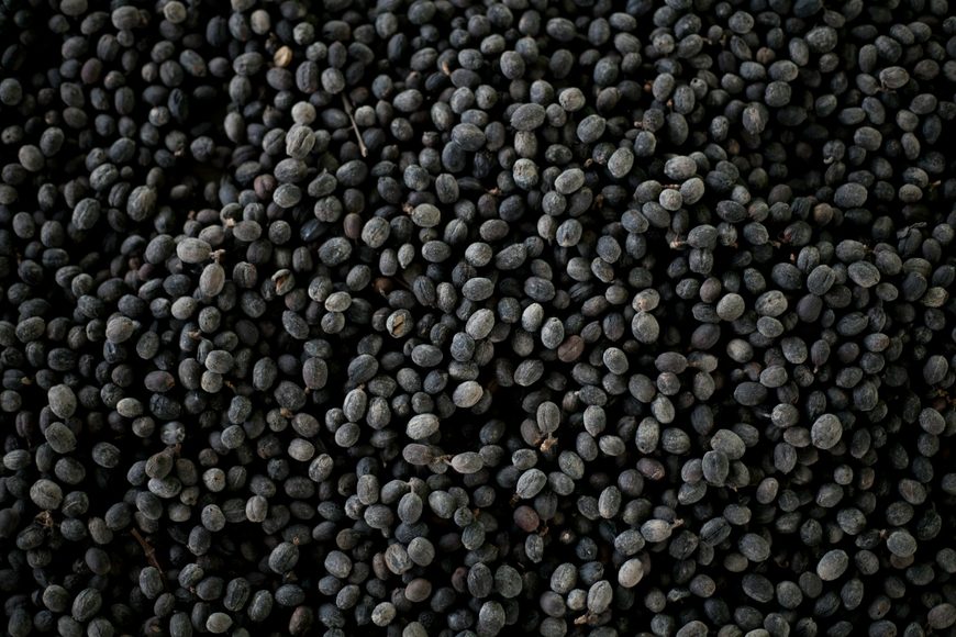 black beans close up pic