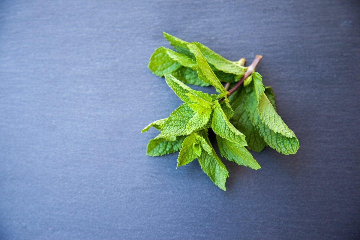 peppermint leaves on blue backdrop