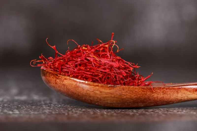 saffron plant