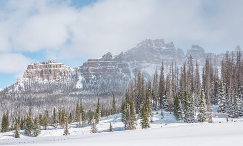 Teton National Park in winter.