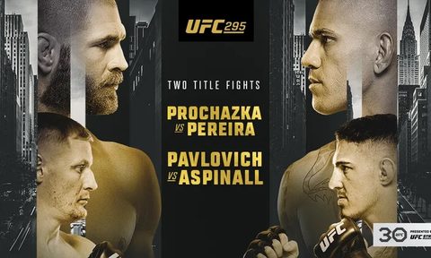 UFC 295 promotional poster showing Prochazka and Pereira.