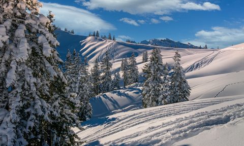 Snowy backcountry with ski tracks.