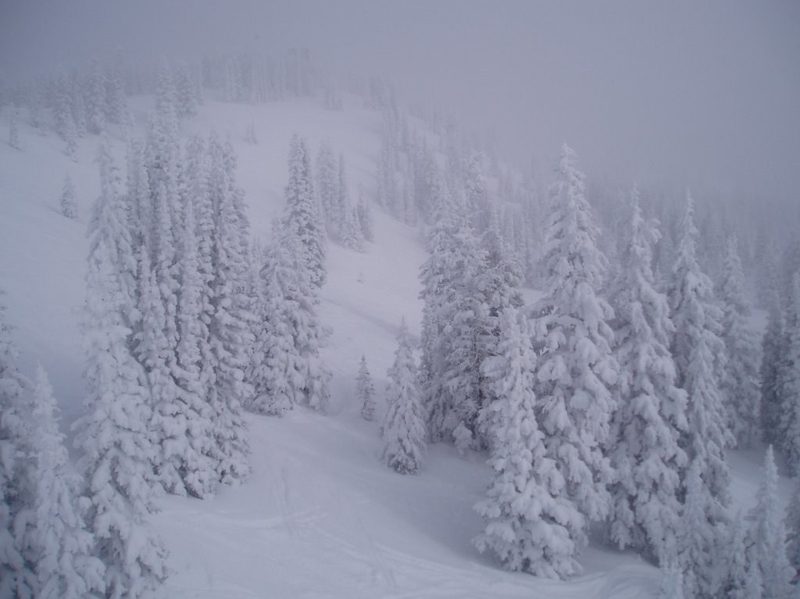 A whiteout at Steamboat Springs