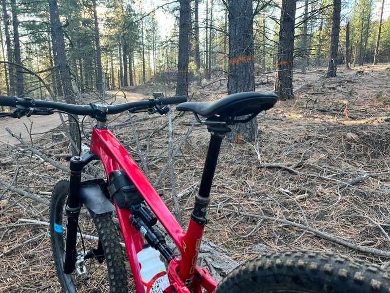 Using the Forge + Bond 30AM wheelset on the Revel Rail 29