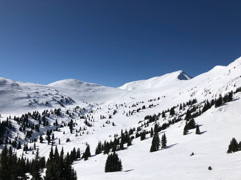 Picture of Copper Mountain Back Bowls
