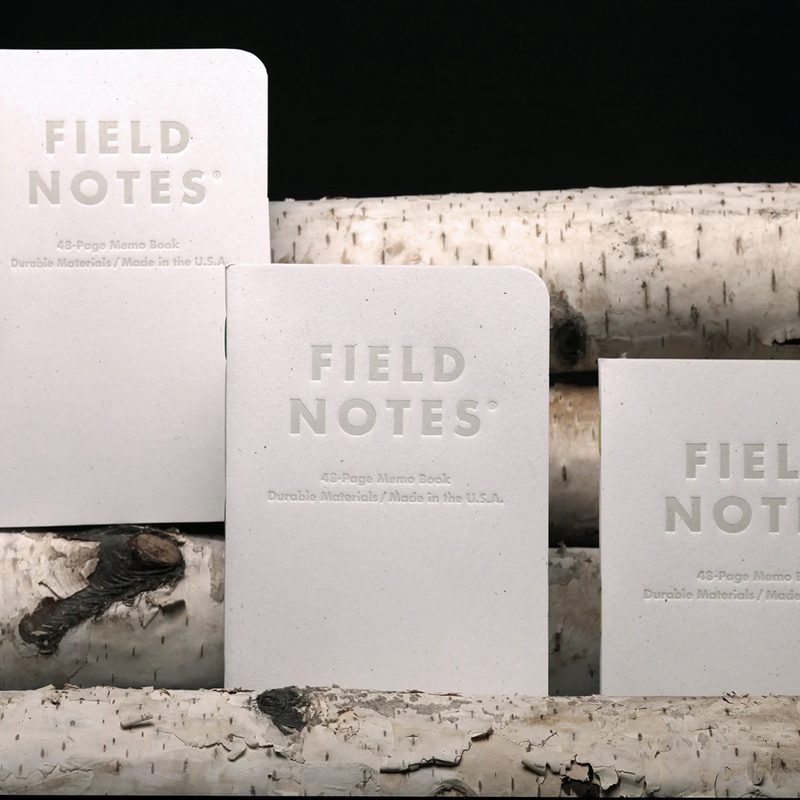 Field Notes by Birch Bark