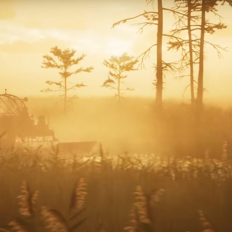 Fanboat in GTA 6 swamp