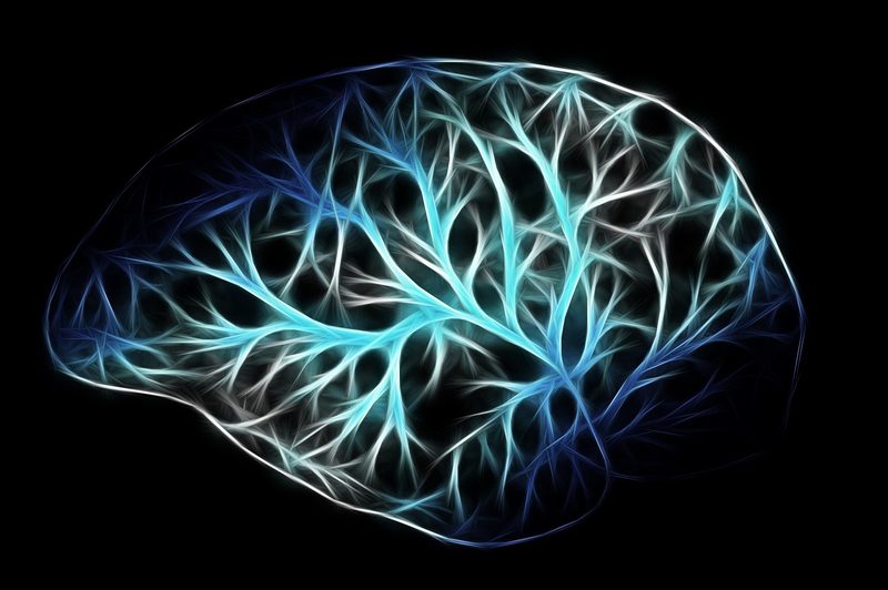 Illustration of brain neurons