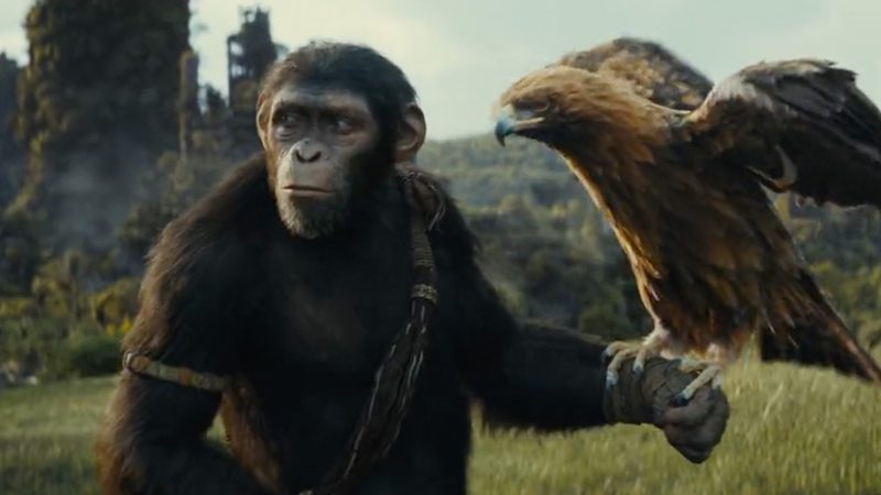 Noa in Kingdom of the Planet of the Apes. 