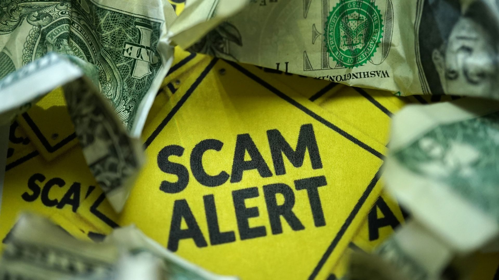 scam alert sign in a pile of money