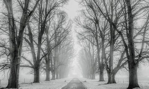Winter road