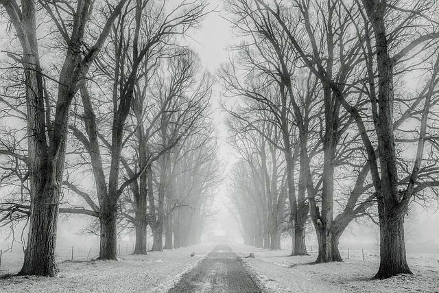 Winter road