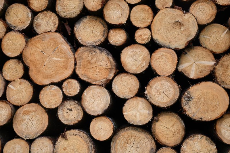 a uniform pile of chopped wood stacked together exposing the cut area
