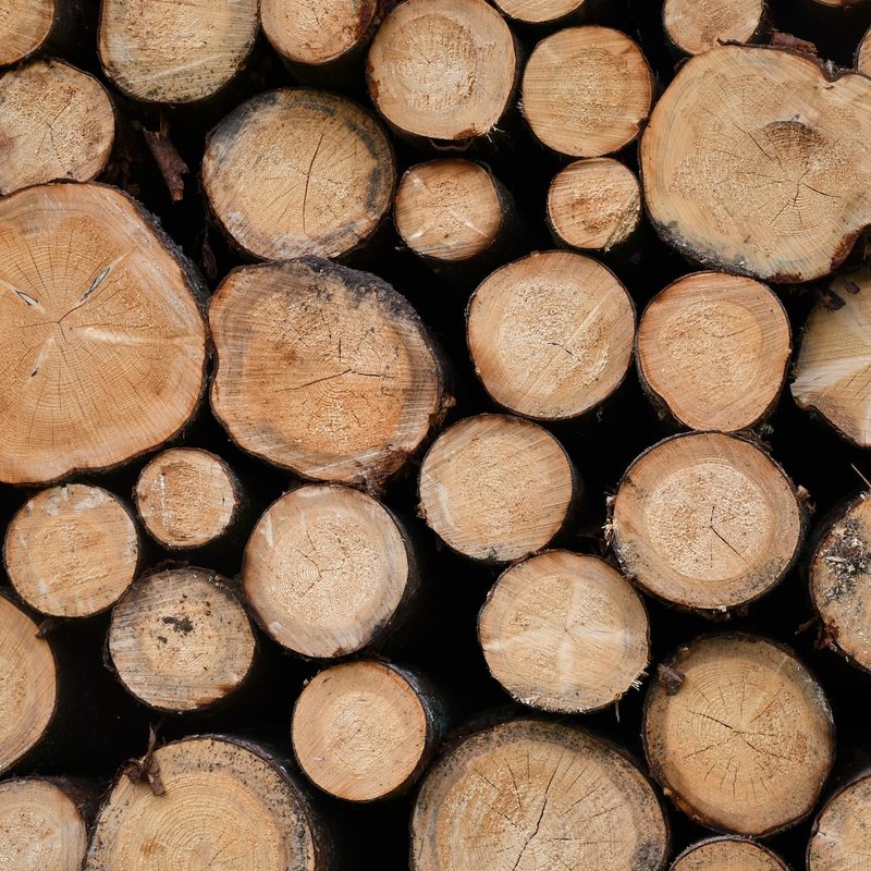 A uniform pile of chopped wood stacked together exposing the cut area
