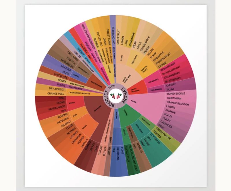 Wine aroma wheel