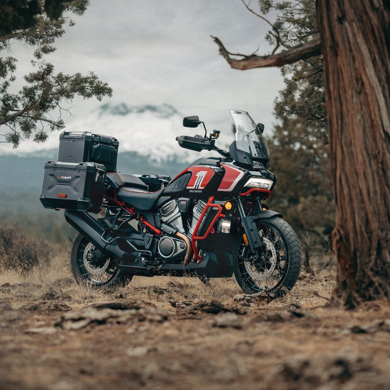 2024 Harley-Davidson CVO Pan America parked in forest near the base of a giant tree.