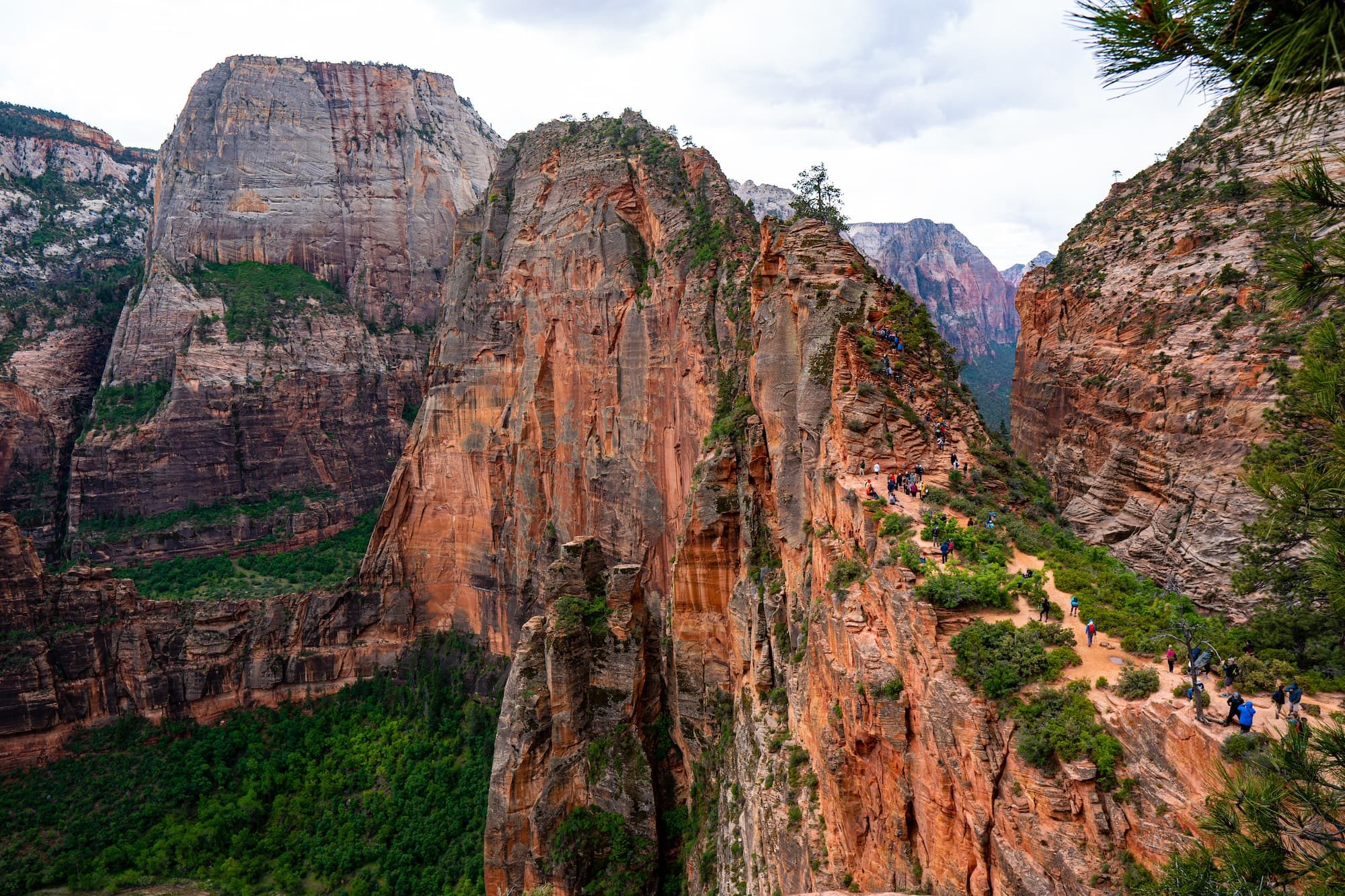 Angels Landing in Zion National Park