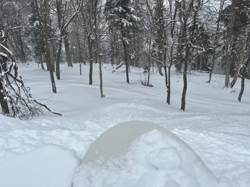 Burton Gril Master snowboard in powder
