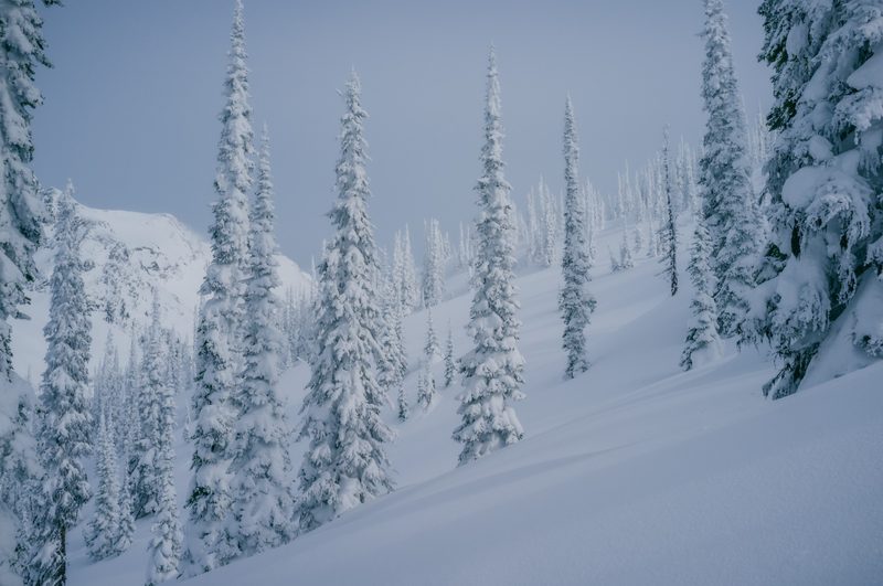 Revelstoke BC powder glades