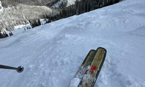 Romp Skis Oso 105 Hero Image