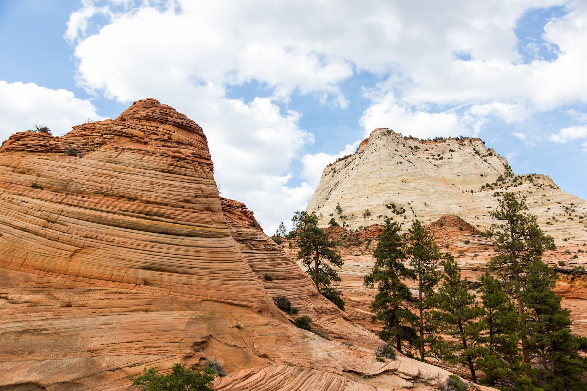 Landscape in Zion National Park