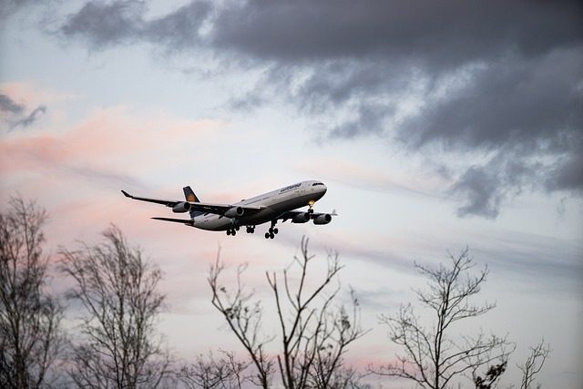 Airplane at sunset