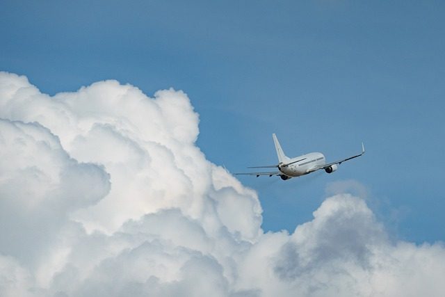 plane flying next to cloud