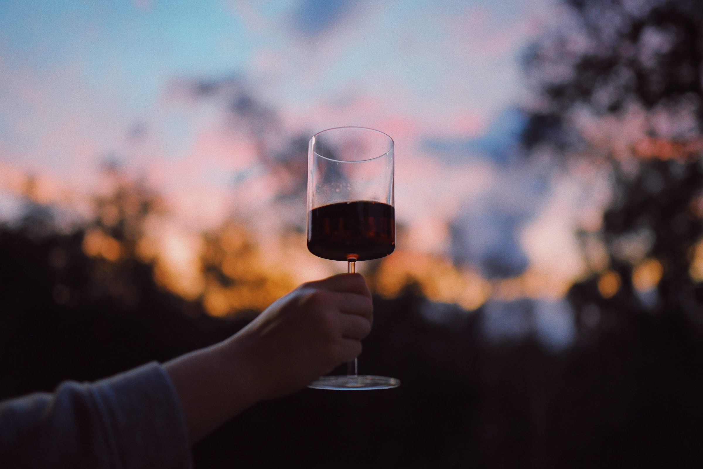 Person holding up red wine glass