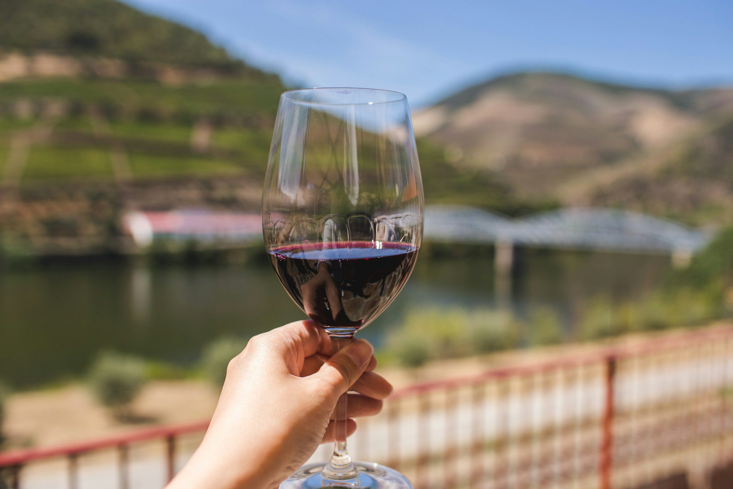 Person holding red wine glass