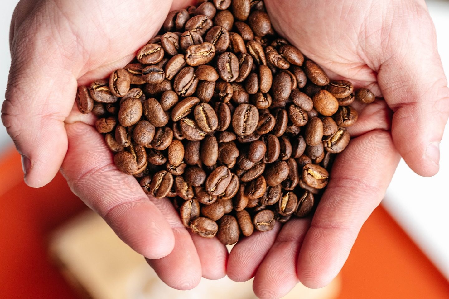 Coffee beans in hands.