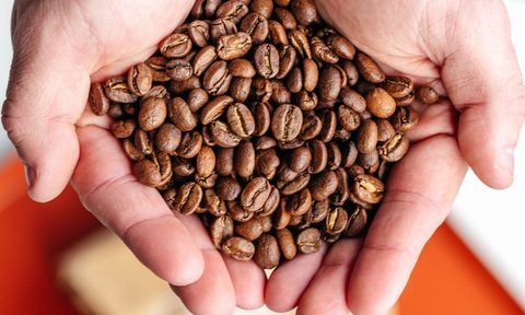 Coffee beans in hands
